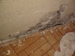 Proyectos, pandeo, anclajes, descuelgue vertical